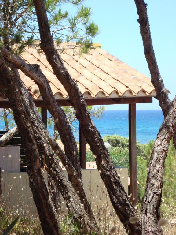 Camping Golfo Dell'Asinara Платамона Номер фото